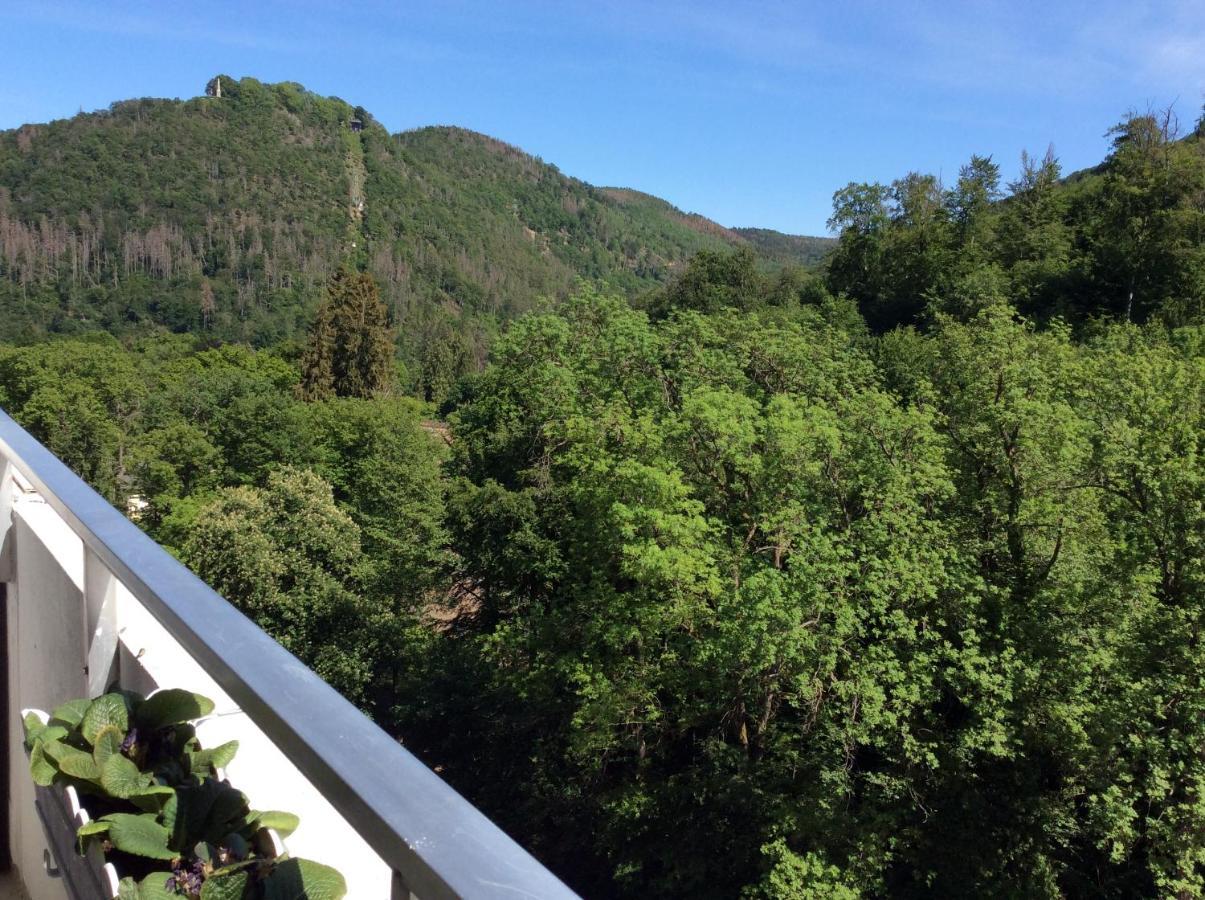 Ferienwohnung Relax Im Wald Bad Harzburg Exterior foto