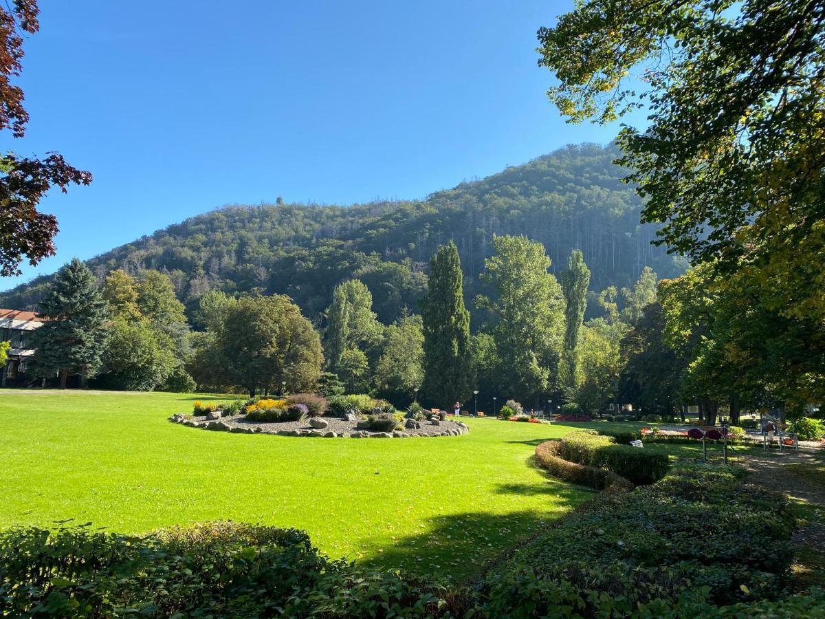 Ferienwohnung Relax Im Wald Bad Harzburg Exterior foto